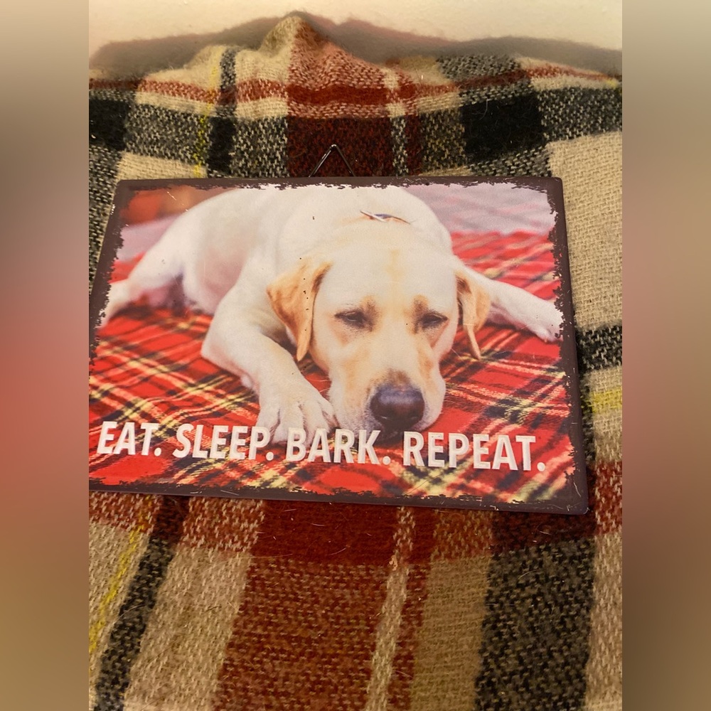 Small tin sign- Eat.sleep.bark.repeat